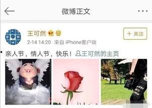 娱乐大爆料热巴杨洋小说,热巴杨洋甜蜜小说,浪漫邂逅引热议 第3张 娱乐大爆料热巴杨洋小说,热巴杨洋甜蜜小说,浪漫邂逅引热议 第3张